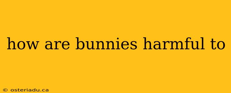 how are bunnies harmful to