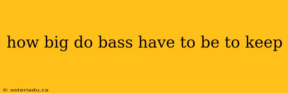 how big do bass have to be to keep