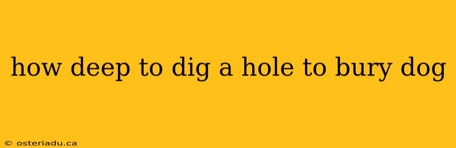 how deep to dig a hole to bury dog