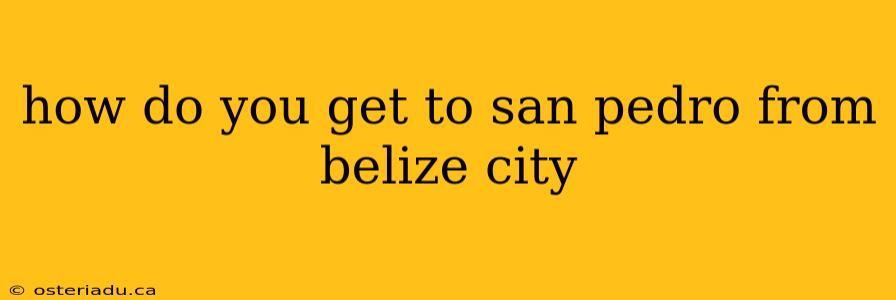 how do you get to san pedro from belize city