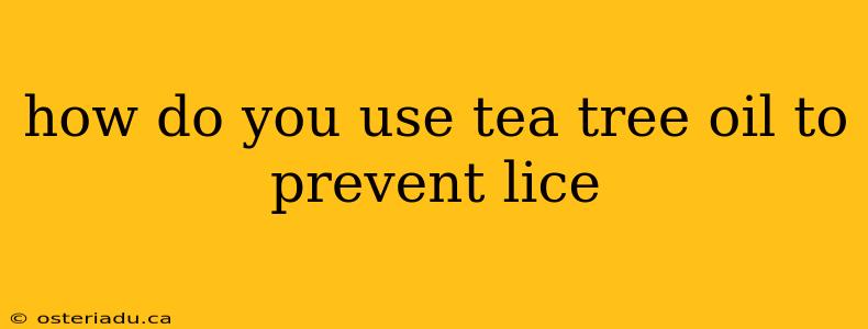 how do you use tea tree oil to prevent lice