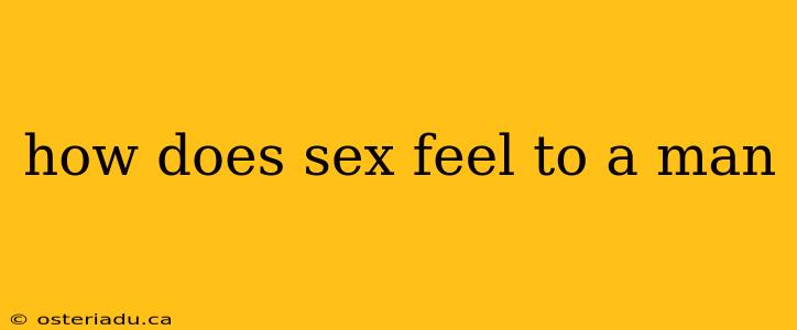 how does sex feel to a man