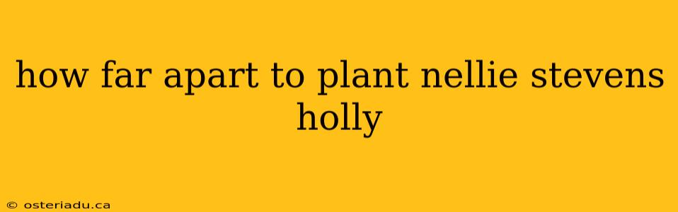 how far apart to plant nellie stevens holly