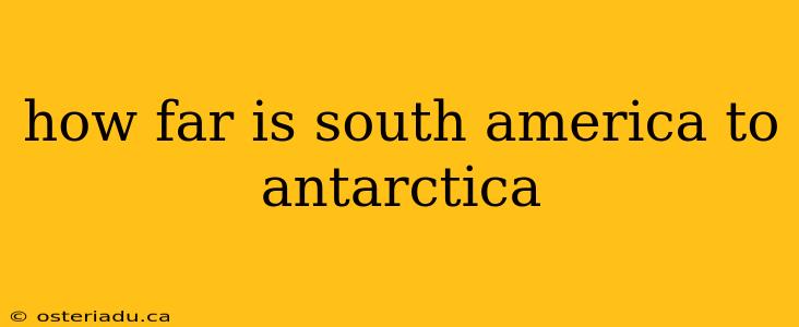 how far is south america to antarctica