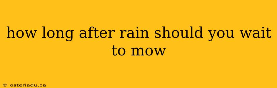 how long after rain should you wait to mow