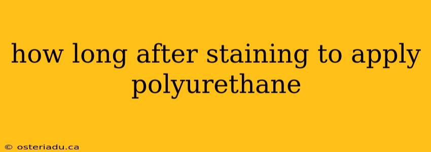 how long after staining to apply polyurethane