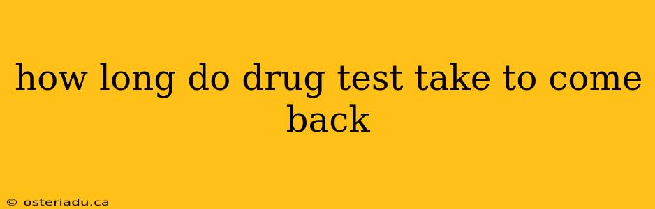 how long do drug test take to come back