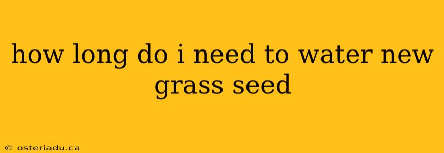 how long do i need to water new grass seed