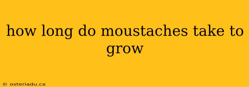 how long do moustaches take to grow