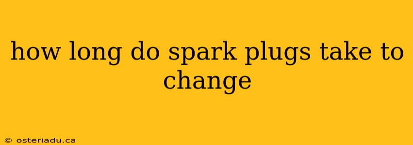 how long do spark plugs take to change