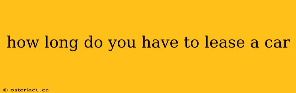 how long do you have to lease a car
