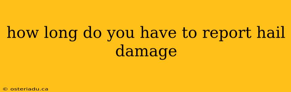 how long do you have to report hail damage