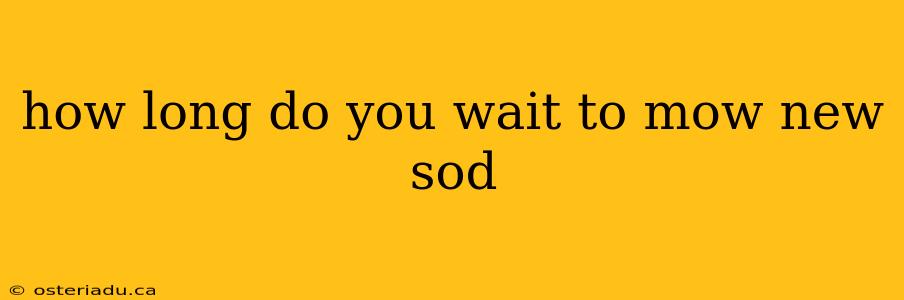 how long do you wait to mow new sod