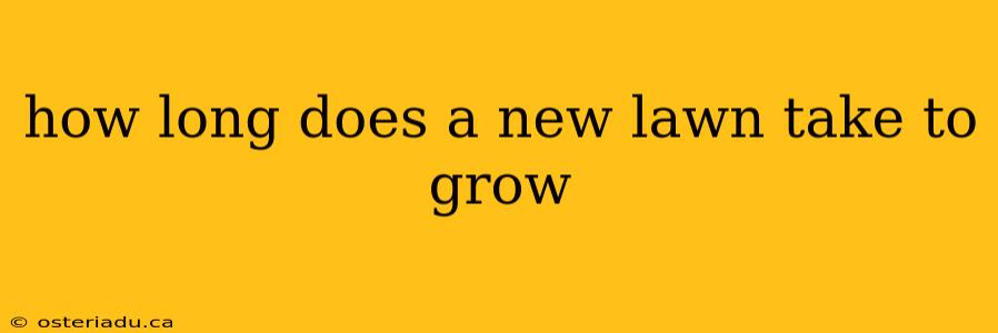 how long does a new lawn take to grow