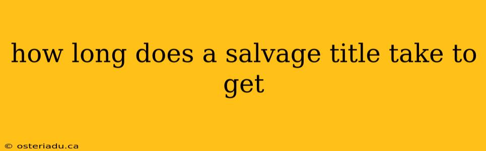 how long does a salvage title take to get