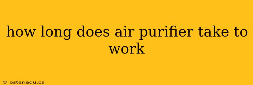 how long does air purifier take to work