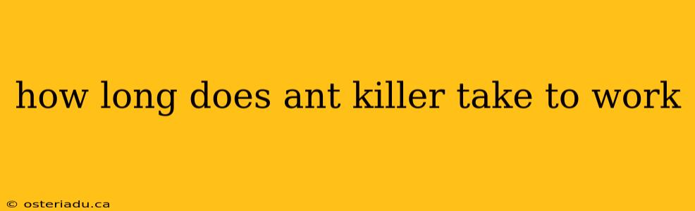 how long does ant killer take to work