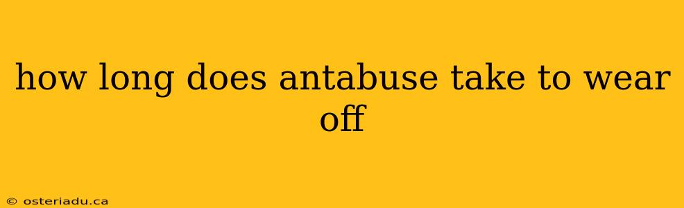 how long does antabuse take to wear off