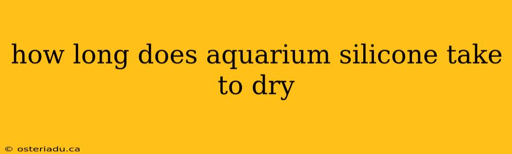 how long does aquarium silicone take to dry