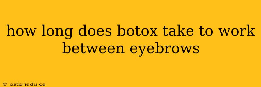 how long does botox take to work between eyebrows