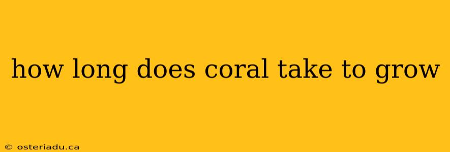 how long does coral take to grow