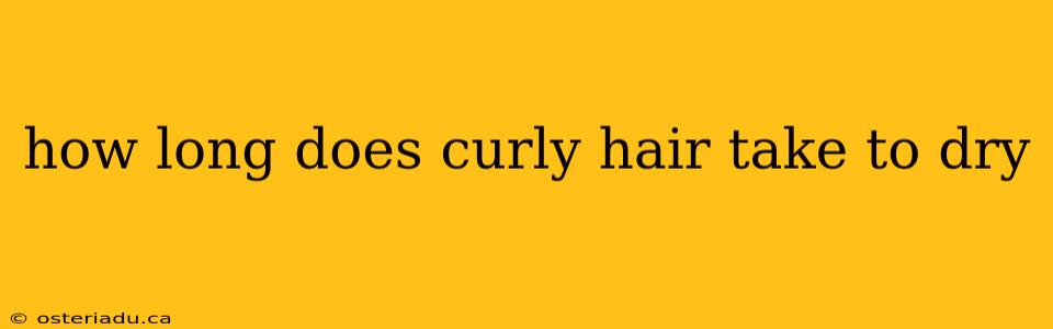 how long does curly hair take to dry