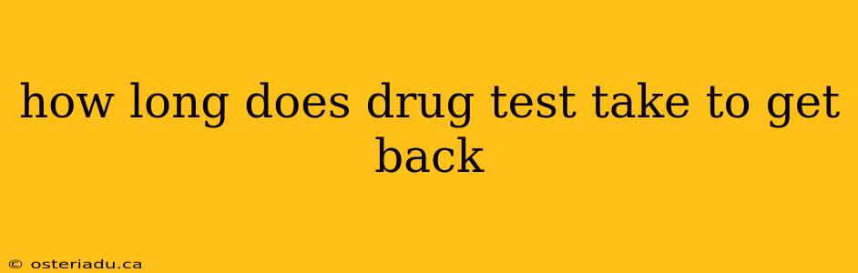 how long does drug test take to get back