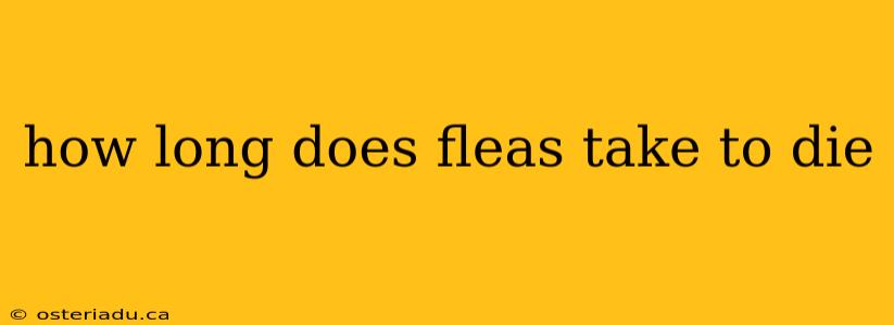 how long does fleas take to die