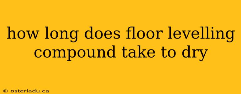 how long does floor levelling compound take to dry