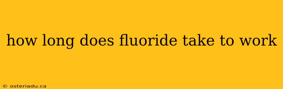 how long does fluoride take to work