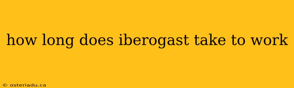 how long does iberogast take to work