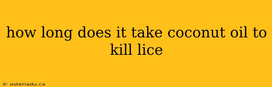 how long does it take coconut oil to kill lice