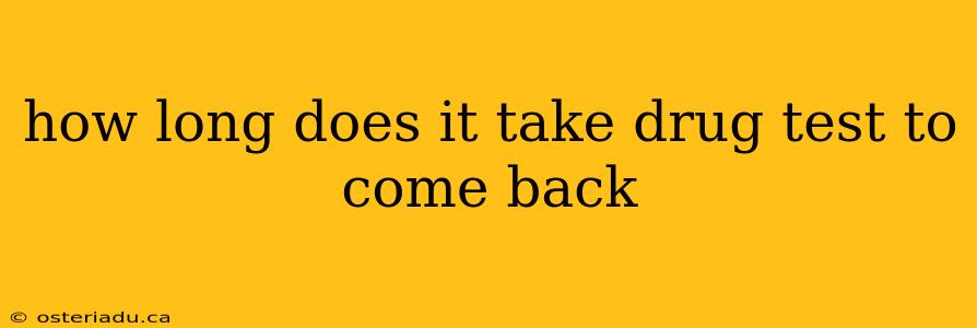 how long does it take drug test to come back