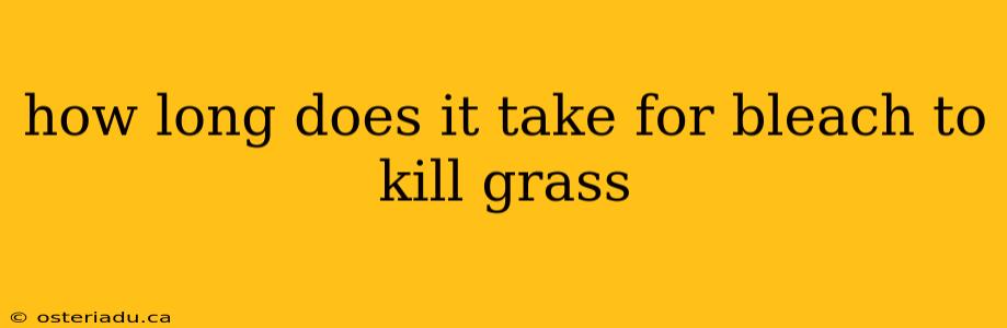 how long does it take for bleach to kill grass