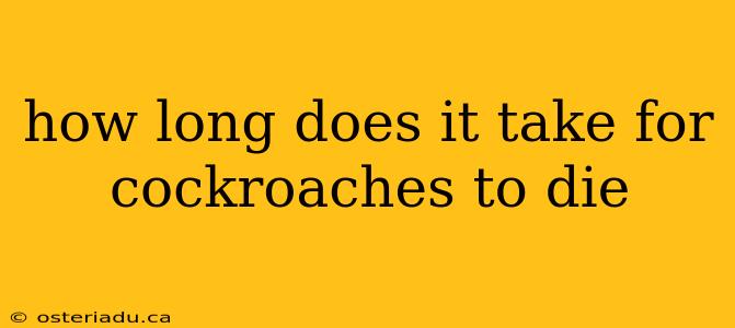 how long does it take for cockroaches to die