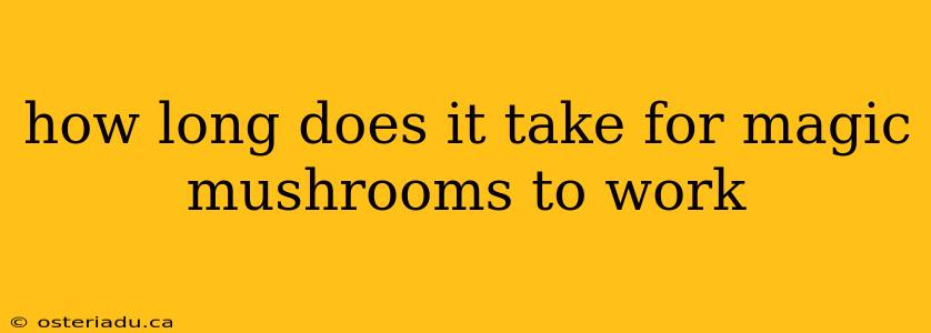 how long does it take for magic mushrooms to work