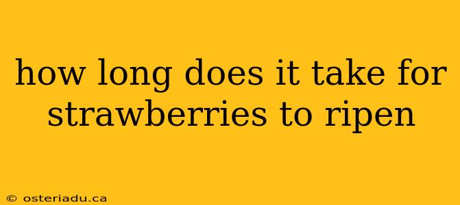 how long does it take for strawberries to ripen