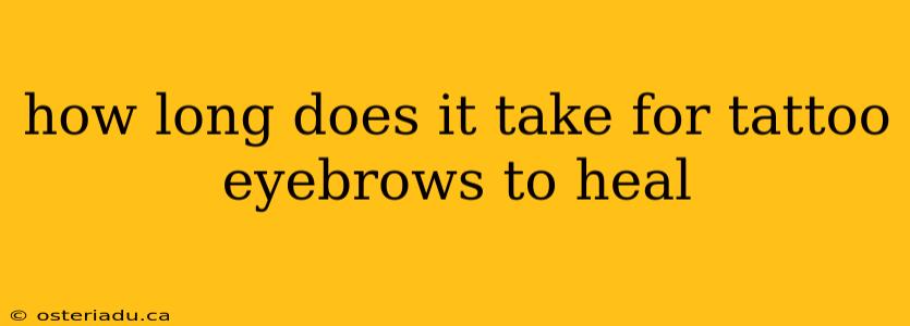 how long does it take for tattoo eyebrows to heal