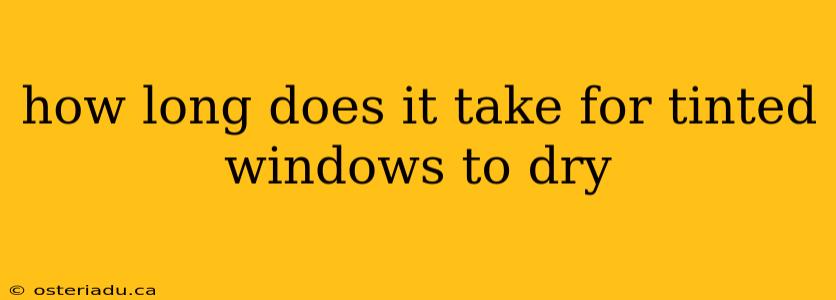 how long does it take for tinted windows to dry