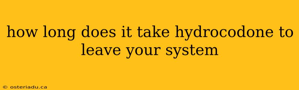 how long does it take hydrocodone to leave your system