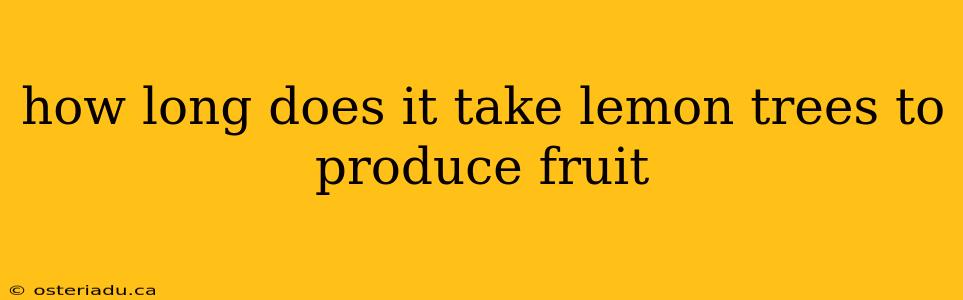 how long does it take lemon trees to produce fruit