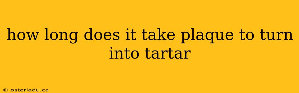 how long does it take plaque to turn into tartar