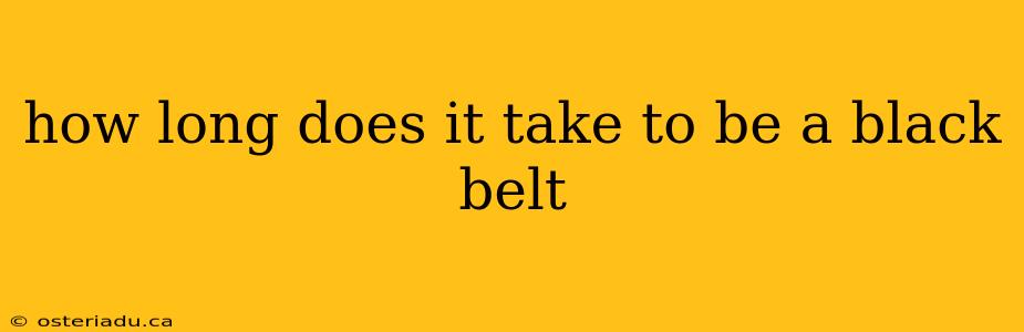 how long does it take to be a black belt