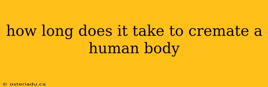 how long does it take to cremate a human body