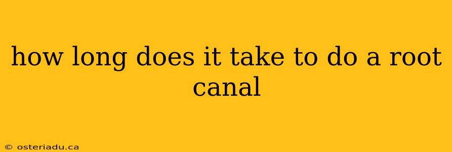 how long does it take to do a root canal