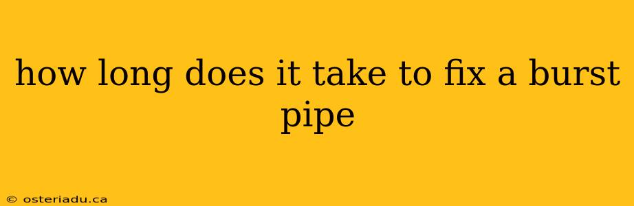 how long does it take to fix a burst pipe