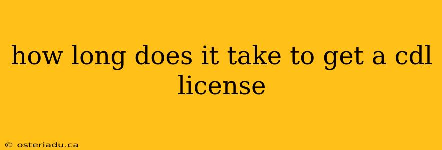 how long does it take to get a cdl license