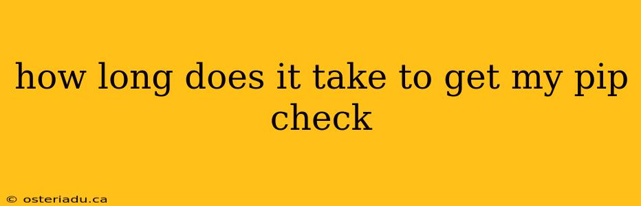 how long does it take to get my pip check