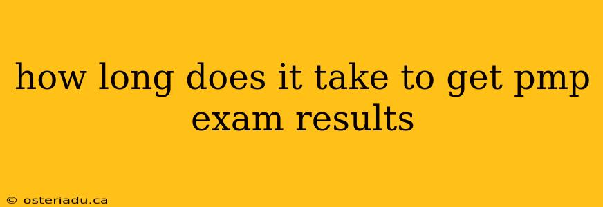 how long does it take to get pmp exam results