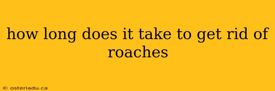 how long does it take to get rid of roaches